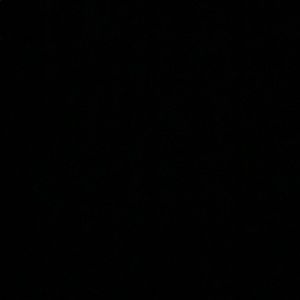 Meet your Posher, Bridget